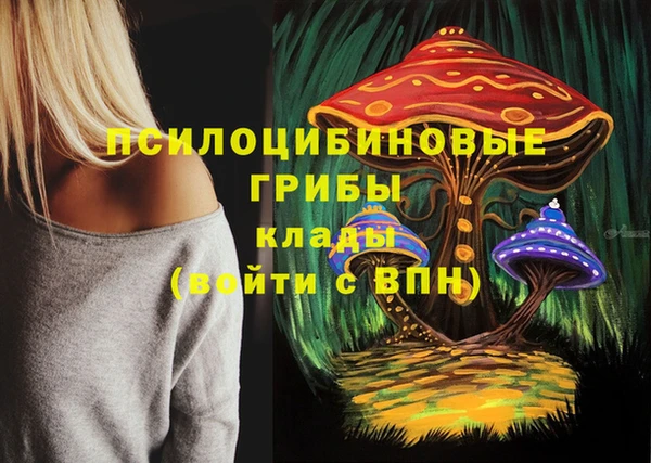 каннабис Абаза