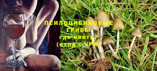 не бодяженный Алексин